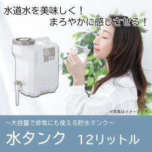 水タンク 12リットル 送料無料の詳細画像1