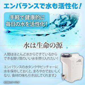 水タンク 12リットル 送料無料の詳細画像4