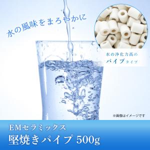堅焼きパイプ 500g [水質改善 セラミックス]の詳細画像1