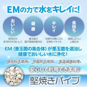 堅焼きパイプ 500g [水質改善 セラミックス]の詳細画像4