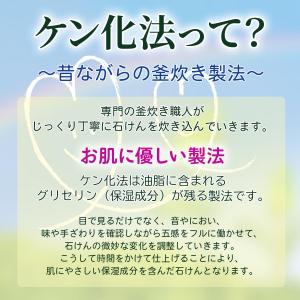 EM浴用石けん 100g 固形タイプ シャボン...の詳細画像5