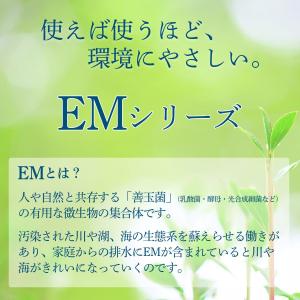 EM台所石けん 110g シャボン玉石けんの詳細画像2