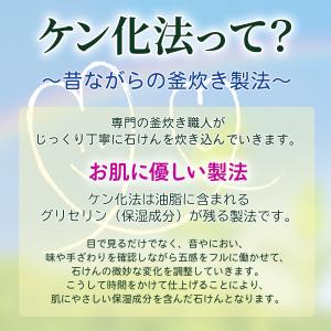 EM台所石けん 110g シャボン玉石けんの詳細画像5