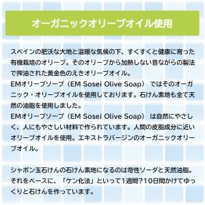 ほがらか石けん 60g リニューアル(旧名称:...の詳細画像3