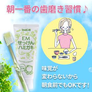 EMせっけんハミガキ 140g ペパーミント味...の詳細画像3