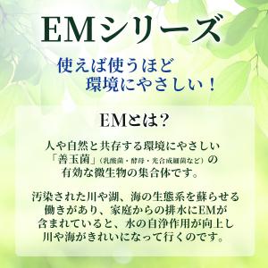EMせっけんハミガキ 140g ペパーミント味...の詳細画像4