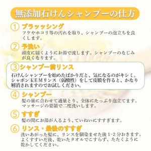 EMせっけんシャンプー つめかえ用 420ml...の詳細画像2