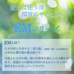 EMせっけんシャンプー つめかえ用 420ml...の詳細画像3