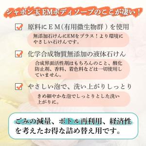 EMボディソープ つめかえ用 420ml シャ...の詳細画像2