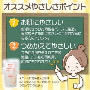 EM食器洗い液体せっけん つめかえ 250ml...の詳細画像4