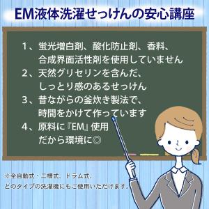 EM液体洗濯せっけん つめかえ用 1000mL...の詳細画像2