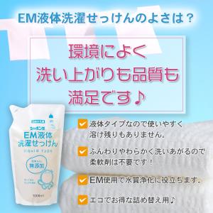 EM液体洗濯せっけん つめかえ用 1000mL...の詳細画像3