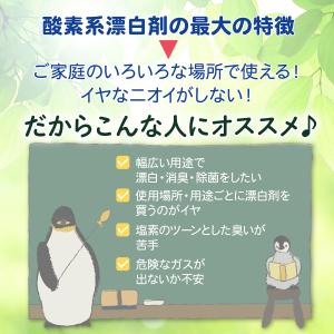 酸素系漂白剤 750g シャボン玉石けんの詳細画像5