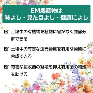 EM1号 1L(有用微生物土壌改良) [資材 ...の詳細画像3