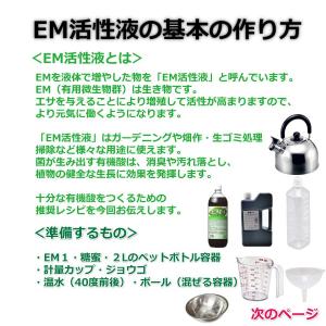 EM1号 1L(有用微生物土壌改良) [資材 ...の詳細画像4