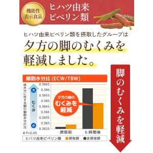 ナンバーサプリ02 ヒハツ&ラフマ【機能性表示...の詳細画像3