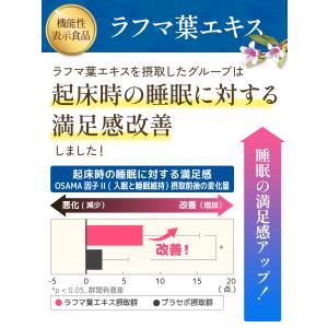 ナンバーサプリ02 ヒハツ&ラフマ【機能性表示...の詳細画像5