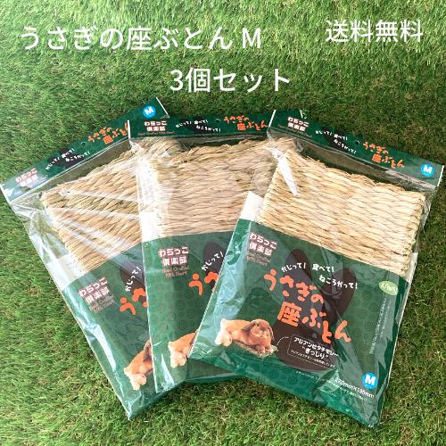 カワイ わらっこ倶楽部 うさぎの座ぶとん M 3個セット ウサギ チモシー 座布団