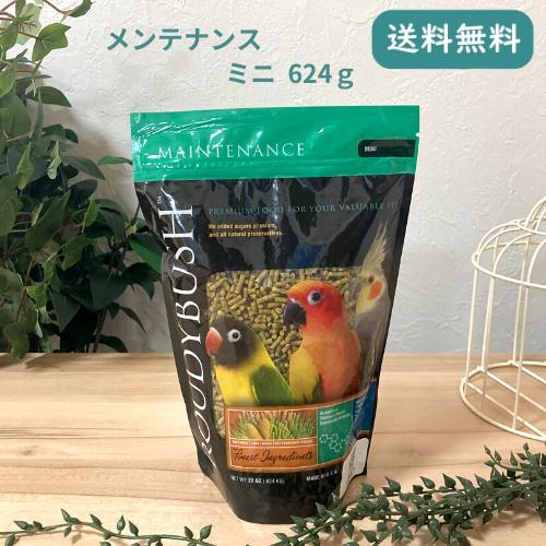 ラウディブッシュ デイリーメンテナンス ミニ アルファルファ入 22oz 624g