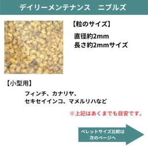 ラウディブッシュ デイリーメンテナンス ニブル...の詳細画像1