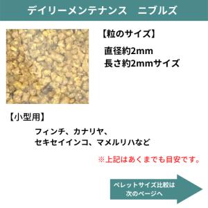 ラウディブッシュ デイリーメンテナンス ニブル...の詳細画像1