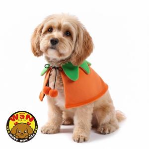 ハロウィンコスチューム ラグランTシャツ半袖 犬 小型犬 可愛い