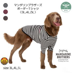 NEW マンダリンブラザーズ 犬 服 ボーダーTシャツ 犬用Tシャツ 防虫 レトロ ヴィンテージ ドッグウェア おしゃれ 秋 ボーダー Tシャツ 爆買
