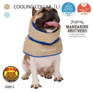 2025年10月】アーテック 小物、アクセサリー（犬の服）の