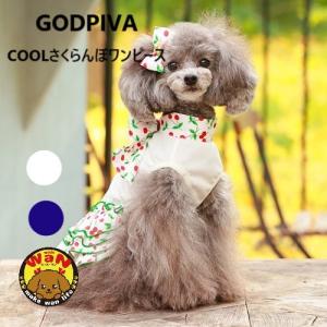 ゴッドピヴァ GODPIVA COOLプティチェリーワンピース XXS/XS/S/SM/M/L