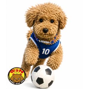 犬 猫 うちの子 名前入り 日本代表 サムライブルー チョーカー ハンドメイド サッカー ネックレス アクセサリー ペット withwan ウィズワン 爆買