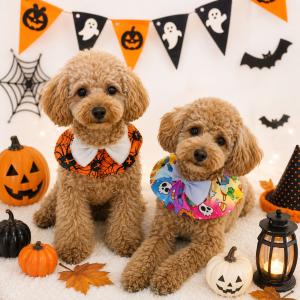 犬 スタイ ハロウィン アクセサリー コスチューム ハロウィーン ハンドメイド 仮装 ドッグウェア 小型犬 中型犬 コスプレ ウィズワン 爆買