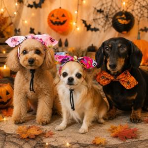 犬 カチューシャ ハロウィン コスチューム ハロウィーン ハンドメイド　仮装 ドッグウェア 小型犬 中型犬 コスプレ ウィズワン 爆買