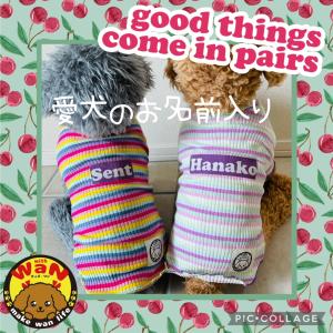 愛犬のお名前入り 刺繍 バンダナ スカーフ スタイ オリジナル ハンドメイド ネーム 犬 猫 クール ドット 水玉 保冷剤 防寒 カイロ ポイント消化 春 夏 秋 冬 Jay1502 1503 おしゃれで安い犬服ならwith Wan 通販 Yahoo ショッピング