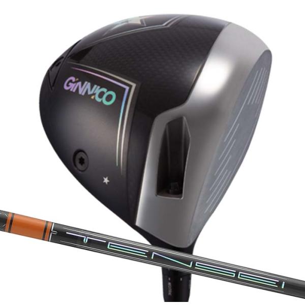 (カスタムクラブ)イオンスポーツ ジニコ EON GINNICO MODEL 02C One Sta...