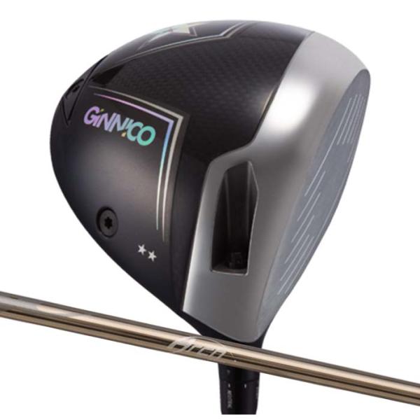 (カスタムクラブ)イオンスポーツ ジニコ EON GINNICO MODEL 02C Two Sta...