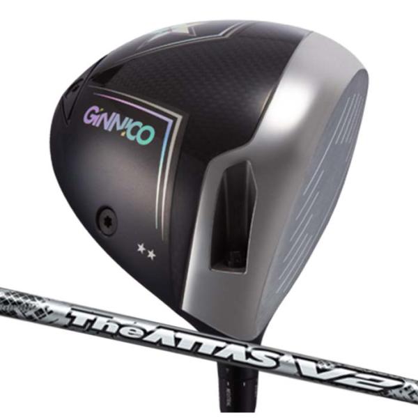 (カスタムクラブ)イオンスポーツ ジニコ EON GINNICO MODEL 02C Two Sta...