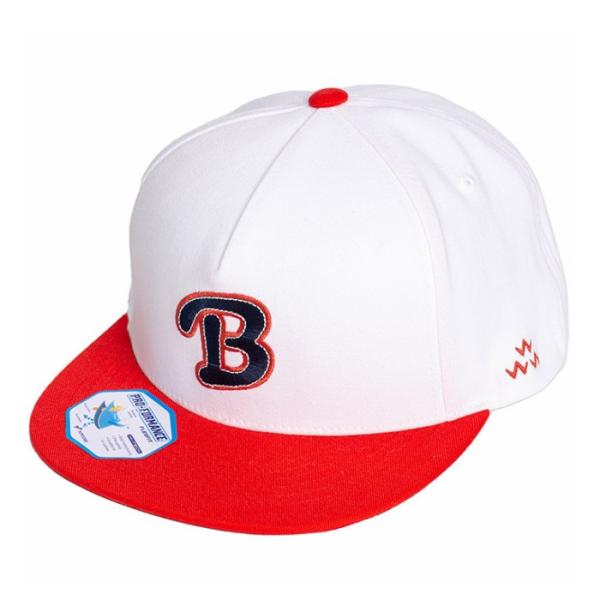 バーズ・オブ・コンドル BIRDS OF CONDOR TEMC2F01 BALLER HAT キャ...