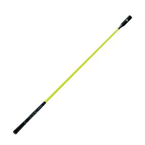 ダイヤ ゴルフ DAIYA TR-5002 ダイヤスイングプロツアー スイング練習器