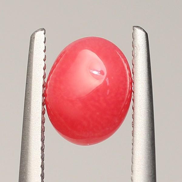 コンクパール0.830ctルース約6.0mm×4.8mm×3.8mm ソーティング簡易鑑別取得済み ...