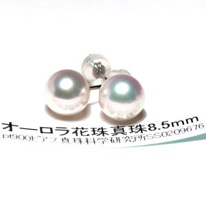 18金 伊勢志摩あこや本真珠8mm スタッドピアス 貴金属 のし ラッピング