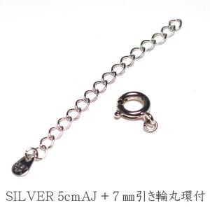 クラスプ 差し込みプッシュ式クラスプ LLサイズ SILVER パール