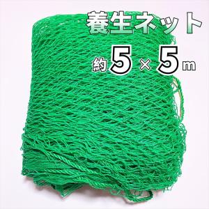 ONESORA 養生ネット 防鳥ネット 荷崩れ防止ネット 10×10m 網目