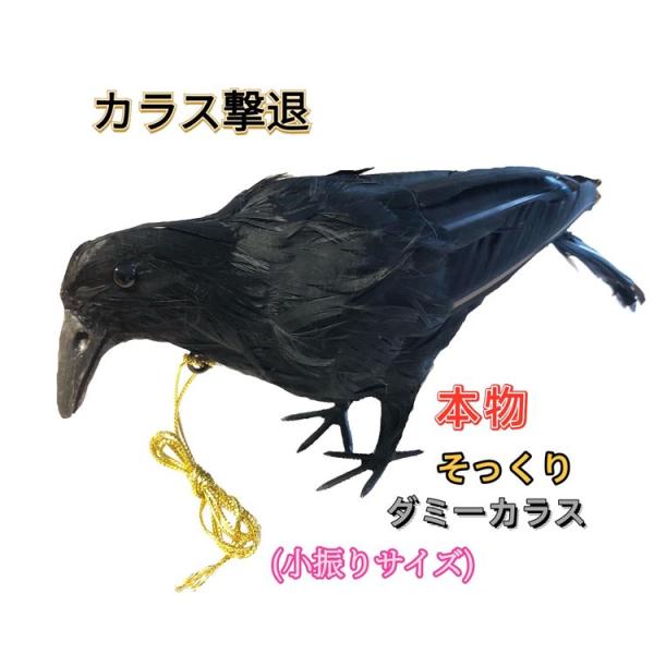 カラスよけ カラス撃退 カラス退治 カラス対策 ダミーカラス リアル羽毛 小振りサイズ  約32×8...