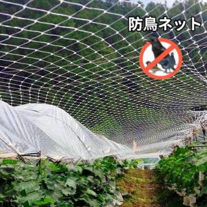 ネット 網 防鳥・防球・多目的ネット 網目25mm （糸の太さ2.2mm）