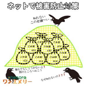 ゴミ カラス除けの商品一覧 通販 Yahoo ショッピング
