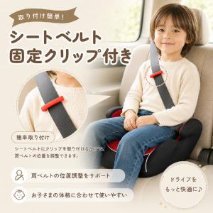 AORTD チャイルドシート 3歳から ジュニ...の詳細画像3