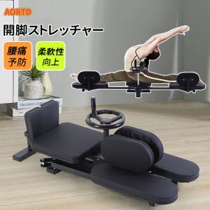 レッグストレッチャーCP BODYMAKER ボディメーカー ハイキック 空手