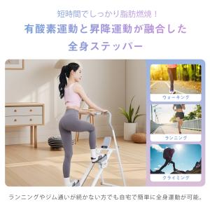 AORTD ステッパー クライミングマシン ス...の詳細画像2