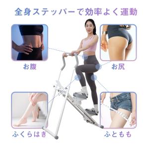 AORTD ステッパー クライミングマシン ス...の詳細画像3