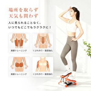 AORTD ステッパー ハンドル付き ダイエッ...の詳細画像3